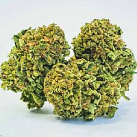 SUPER LEMON HAZE 14,8% CBD FLOWERS 2GR / 5GR - CBWEED 