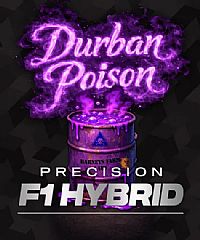 Barneys Farm - Durban Poison 