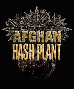 Barneys Farm - Afghan Hash Plant Auto