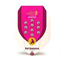 RQS Fat Banana