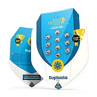 RQS Euphoria  