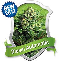 RQS Diesel Automatic 