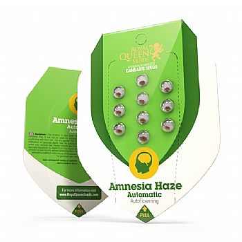 RQS Amnesia Haze Automatic 