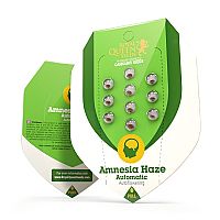 RQS Amnesia Haze Automatic 