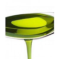 Cannadorra Σπορέλαιο Βιολογικής Κάνναβης - 500ml 