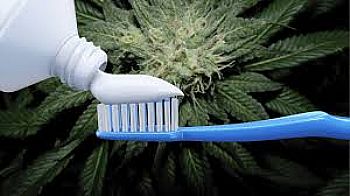 Στοματική Υγιεινή