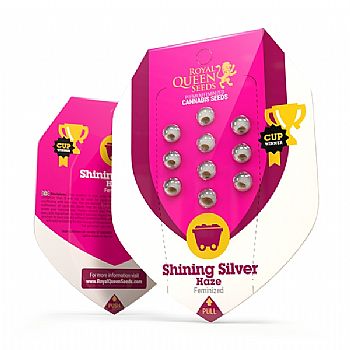 RQS Shining Silver Haze