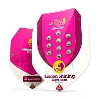 RQS Lemon Shinning Silver Haze
