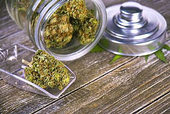 Ανθοί κάνναβης / Hash / Wax