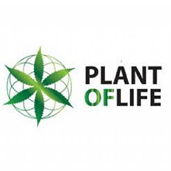 Plant Of Life CBD Wax 66% Blueberry - 1ml 