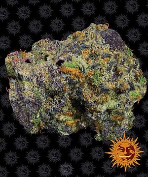 Barneys Farm - Runtz Muffin 