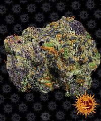 Barneys Farm - Runtz Muffin 