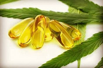 Συμπληρώματα - Κάψουλες CBD 