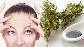 Αντιγήρανση