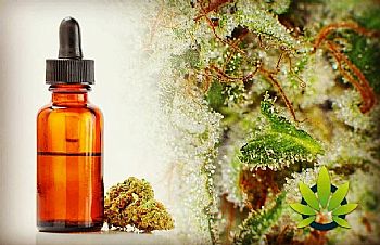 Αιθέρια Έλαια & Τερπένια