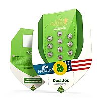 RQS Do-Si-Dos Automatic