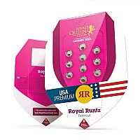RQS Royal Runtz
