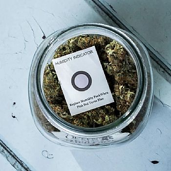 RQS Πακέτo Ρύθμισης Υγρασίας - 8gr/62%