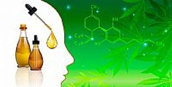 Οι τρόποι χρήσης της Κανναβιδιόλης (CBD) 