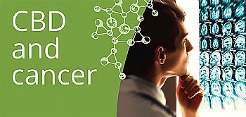 Έρευνες αντιμετώπισης του Καρκίνου με Κανναβιδιόλη