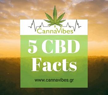 Τα 5 πράγματα που σίγουρα δεν γνώριζες για την CBD! 