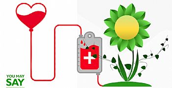 Μπορούν οι χρήστες κάνναβης να γίνουν δωρητές αίματος; Μπορούν οι χρήστες κάνναβης να γίνουν δωρητές αίματος;