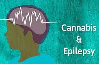 Η Κανναβιδιόλη (CBD) και τα Αντιεπιληπτικά Φάρμακα Η Κανναβιδιόλη (CBD) και τα Αντιεπιληπτικά Φάρμακα