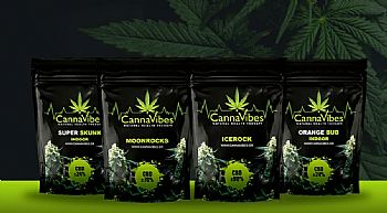 New CBD Flower entries: Οι νέοι ανθοί CannaVibes που θα λατρέψεις! New CBD Flower entries: Οι νέοι ανθοί CannaVibes που θα λατρέψεις!