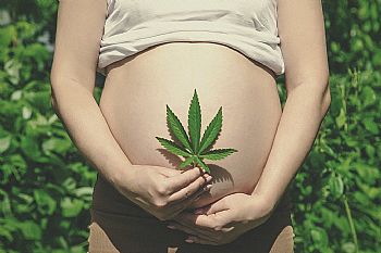 CBD: Εγκυμοσύνη και θηλασμός | Προϊόντα κάνναβης CBD: Εγκυμοσύνη και θηλασμός | Προϊόντα κάνναβης