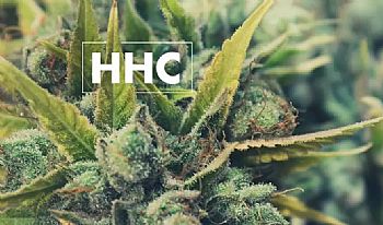 Τι είναι το HHC; (Εξαϋδροκανναβινόλη)
