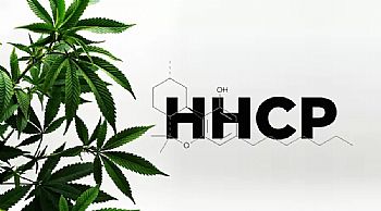 Τι είναι το HHCP και που θα το βρεις στην Ελλάδα; Οι διαφορές από το HHC και τι πρέπει να ξέρεις πριν αγοράσεις!