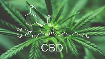 Τι είναι η CBD και που ωφελεί; Η κάνναβη & η συμβολή της στην υγεία Τι είναι η CBD και που ωφελεί; Η κάνναβη & η συμβολή της στην υγεία