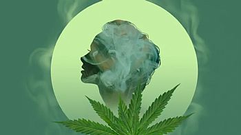 Υπάρχουν νόμιμα προϊόντα κάνναβης με high effect? Ποια είναι και πόσο ψηλά σε πάνε? Υπάρχουν νόμιμα προϊόντα κάνναβης με high effect? Ποια είναι και πόσο ψηλά σε πάνε?