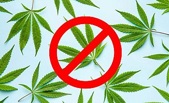 Η HHC εντάσσεται από σήμερα στα ναρκωτικά