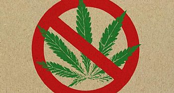 Νέα απαγόρευση του Υπουργείου Υγείας: Όλες οι ουσίες που μιμούνται την δράση του THC κατατάσσονται στα ναρκωτικά Νέα απαγόρευση του Υπουργείου Υγείας: Όλες οι ουσίες που μιμούνται την δράση του THC κατατάσσονται στα ναρκωτικά