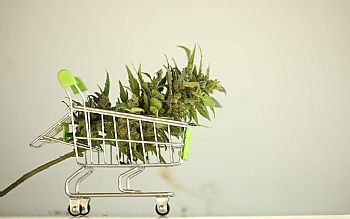 Οδηγός Αγοράς για Αρχάριους Οδηγός Αγοράς για Αρχάριους